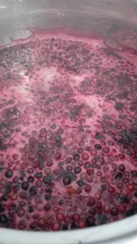 pan of simmering elderberries on the hob