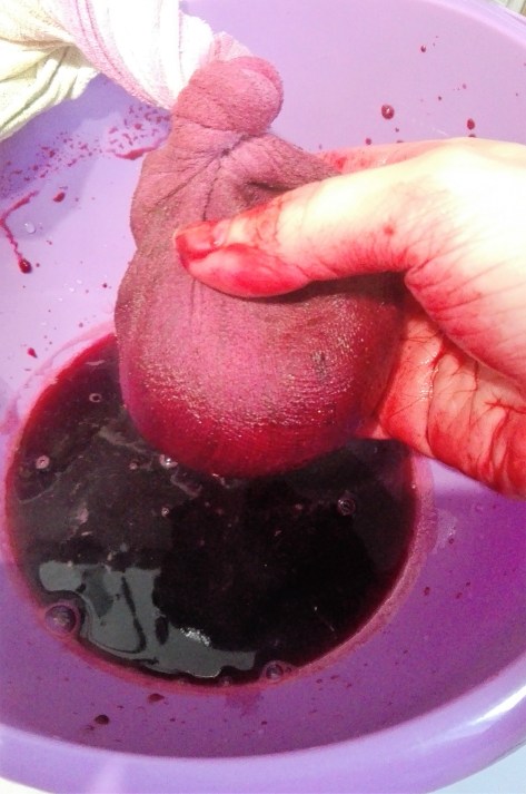 hand squeezing elderberry juice through the muslin