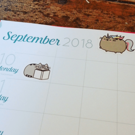 family life book 2018 2019 planner diary with pusheen the cat stickers