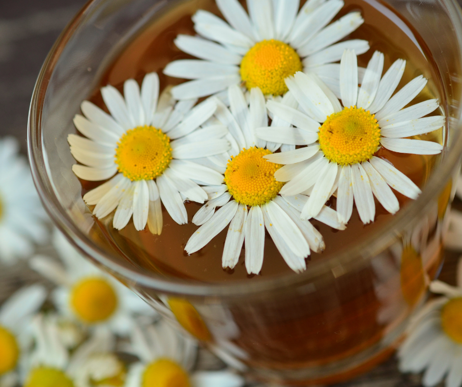 Chamomile tea with flowers floating on top