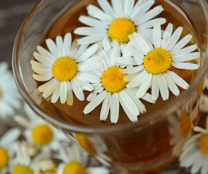 5 natural remedies for hayfever complementary medicine home treatments hay fever