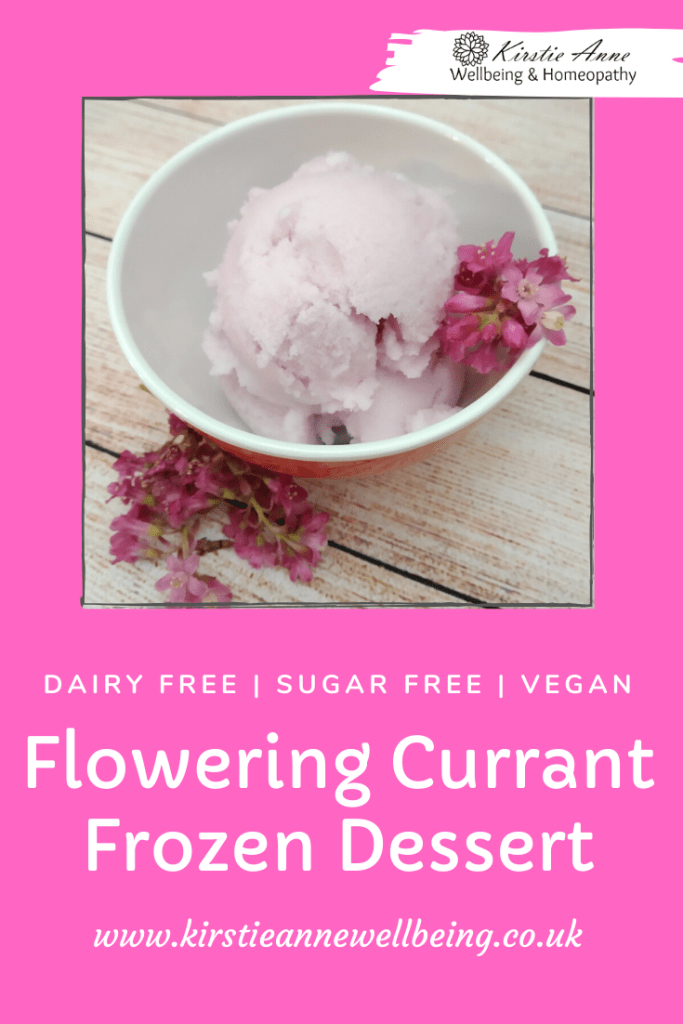 Flowering currant frozen vegan dessert 