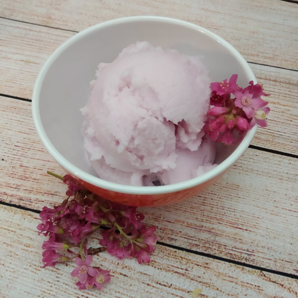flowering currant bush sorbet recipe, dairy free, sugar free, gluten free and vegan (plant based).