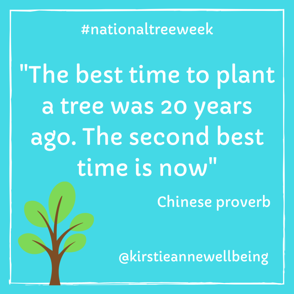 the best time to plant a tree was 20 years ago. The second best time is now quote Chinese proverb on a blue background
