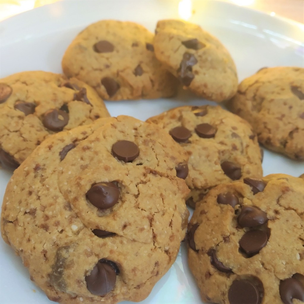 vegan chocolate ginger cookies dairy free snack